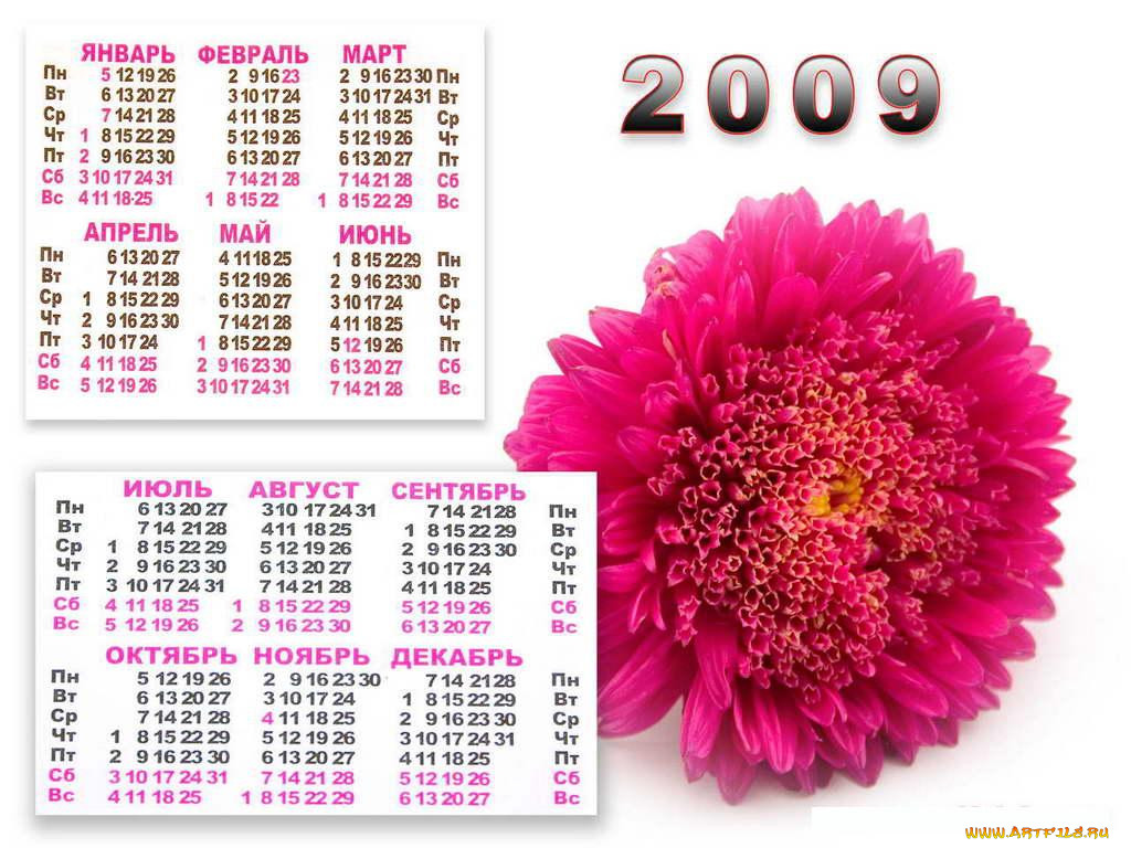 Календарь 2009. Календарь 2009г. Календарь за 2009 год. Календарь 2009 года по месяцам.